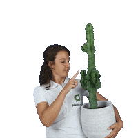 plantsome ai plant plants pain Sticker