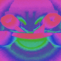 Tripping Laugh Out Loud GIF