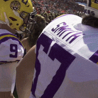 College Sports Football GIF by LSU Tigers