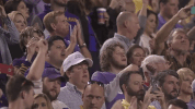 College Sports Sport GIF by LSU Tigers
