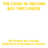 Be Patient 2020 Election Sticker by Creative Courage