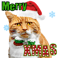 Merry Christmas Sticker