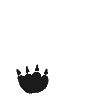 Honimoods bear feet footprint barefooting Sticker