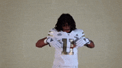 Georgia Tech Football Sport GIF by Georgia Tech Yellow Jackets