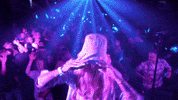 foxymandy party purple fly butterfly GIF