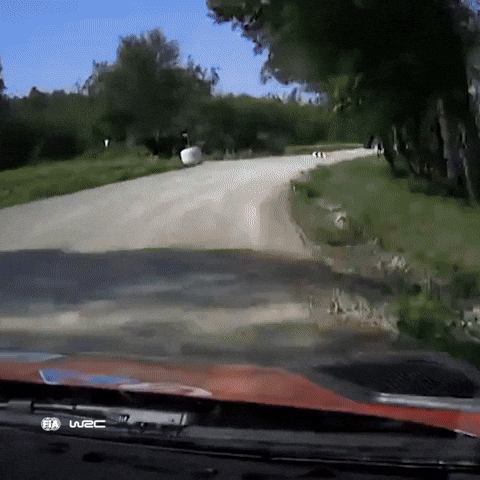 Spin Fail GIF by FIA World Rally Championship