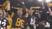 Regular Season Football GIF by NFL