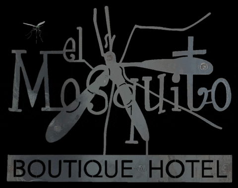 Elmosquitoboutiquehotel GIF by El Mosquito