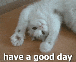 Have-a-good-day GIFs - Get the best GIF on GIPHY
