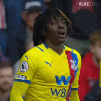 Premier League Football GIF by CPFC