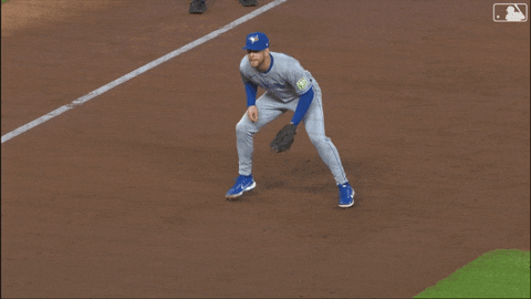 Blue Jays Baseball GIF by Toronto Blue Jays