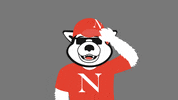 NortheasternUniversity northeastern northeasternuniversity northeastern university nuexperience GIF