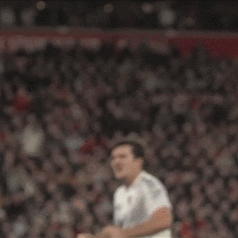 Lets Go Celebration GIF by Manchester United