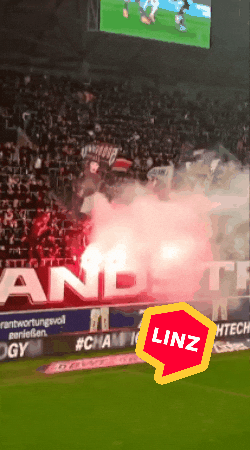 Soccer Bundesliga GIF by Linz News
