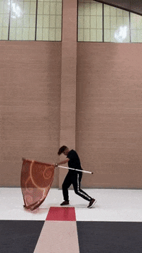 thatguywhospins flag spinning colorguard thatguywhospins GIF