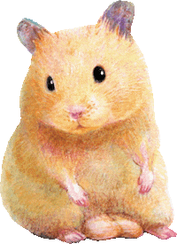 Hamster 動物 Sticker
