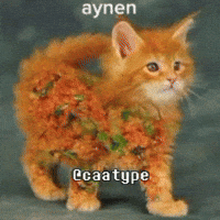Cat Aynen GIF