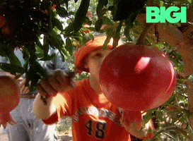 ערוץ הילדים GIF by BIGI_TV