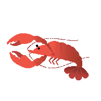 Lobster Swimming Sticker by Yappy Pets