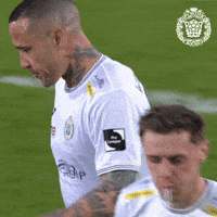 Pro League Dazn GIF by KSC Lokeren-Temse