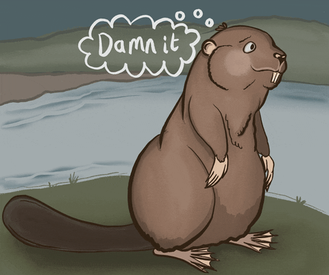 Illustrated gif. A beaver standing by a river covers its eyes and pats its tail on the ground with shame. A thought bubble says "damn it."