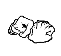 dillonokeefe hate middle finger dillon flipping the bird Sticker