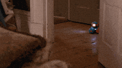 Endlings GIF by Sinking Ship Entertainment