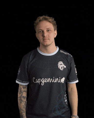 TheNorthIsHere gaming esports fifa csgo GIF