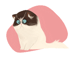 eightbreeze cat cute persian cutecat Sticker
