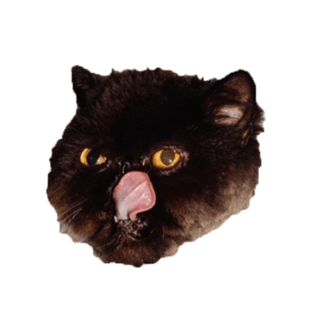 muaddibthecat cat food yum tasty Sticker