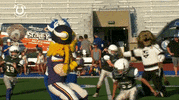 Passing Minnesota Vikings GIF by Viktor the Viking
