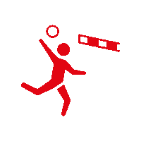 Faustball Sticker by Schweizerischer Turnverband