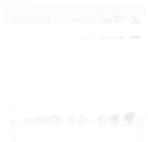 tainy giphyupload tory lanez tainy jessie reyez Sticker