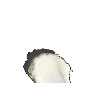 Hiakoskincare skincare moisturiser quench hiako Sticker