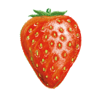 Fruit Strawberry Sticker