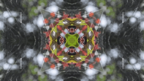 Art Love GIF by jorgemariozuleta