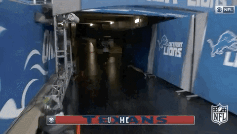 Houston Texans Football GIF by NFL