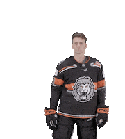 Hockey Bembelhockey Sticker by Löwen Frankfurt