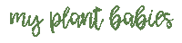 Plant Tree Sticker