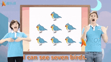 i can see birds GIF by ALO7.com