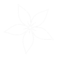 Interior Sticker