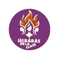 Lasrarasdelaclase Sticker