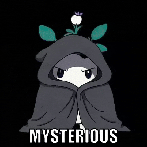 Mystery Cape GIF by Magic Eden