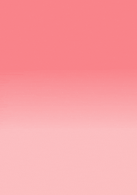 Ikebana_Basel flower flowers calm meditation GIF