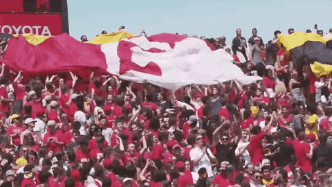 University Of Maryland Football GIF by Maryland Terrapins