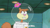 season 9 episode 25 GIF by SpongeBob SquarePants