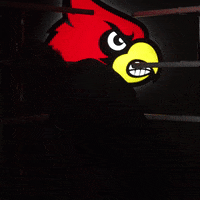 University Of Louisville GIF by Louisville Cardinals