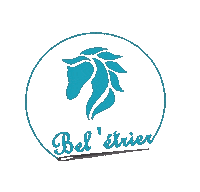 Beletrier beletrier Sticker