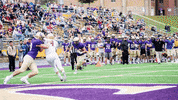 Lorasathletics Goduhawks GIF by Loras College