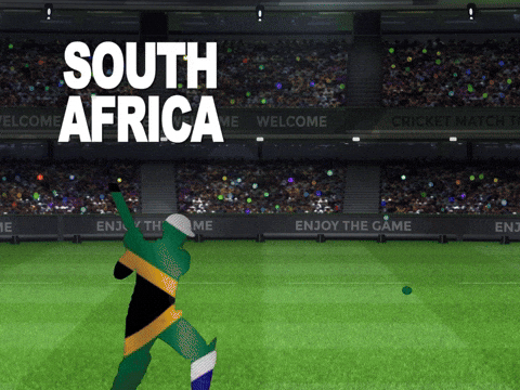 South Africa T20 GIF by RightNow